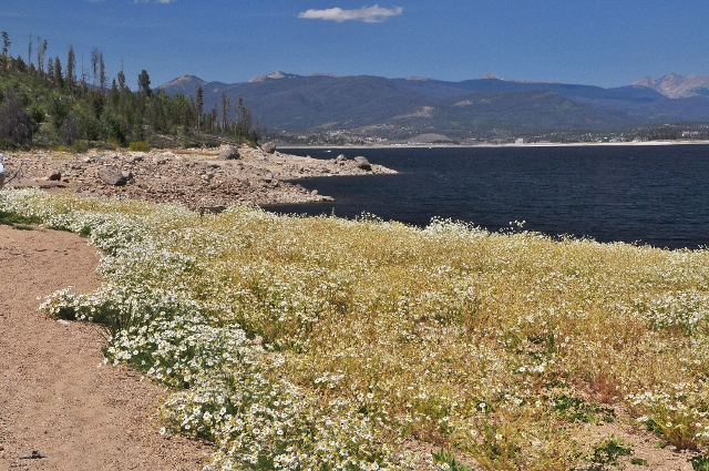 Lake Granby shoreline